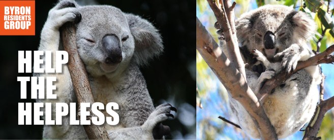 Byron banners web 0312146