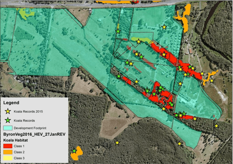 koala habitat and development